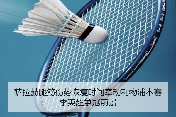 萨拉赫腿筋伤势恢复时间牵动利物浦本赛季英超争冠前景 - leyu