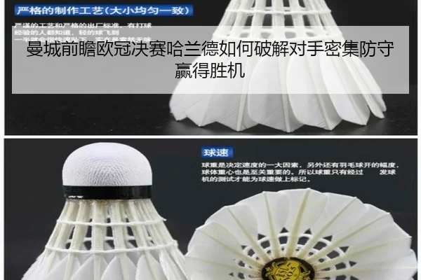 曼城前瞻欧冠决赛哈兰德如何破解对手密集防守赢得胜机 | leyu