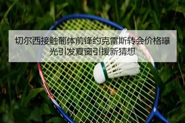 切尔西接触葡体前锋约克雷斯转会价格曝光引发夏窗引援新猜想 | leyu