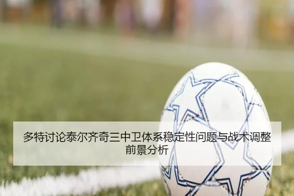 多特讨论泰尔齐奇三中卫体系稳定性问题与战术调整前景分析 | leyu